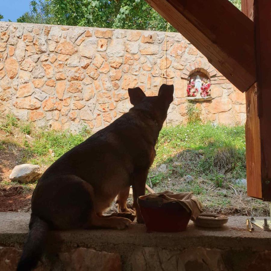 Mary'S Garden Villa Tulisevica Dış mekan fotoğraf