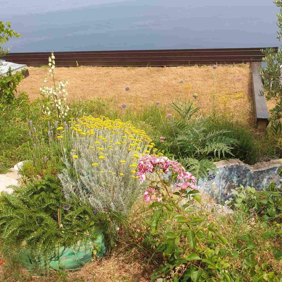 Mary'S Garden Villa Tulisevica Dış mekan fotoğraf