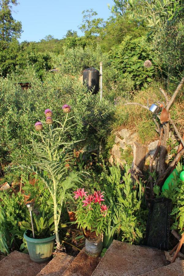 Mary'S Garden Villa Tulisevica Dış mekan fotoğraf