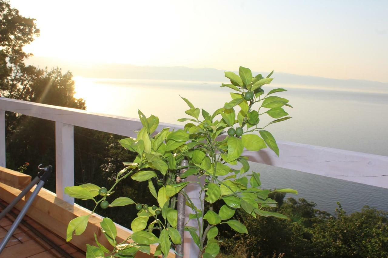 Mary'S Garden Villa Tulisevica Dış mekan fotoğraf