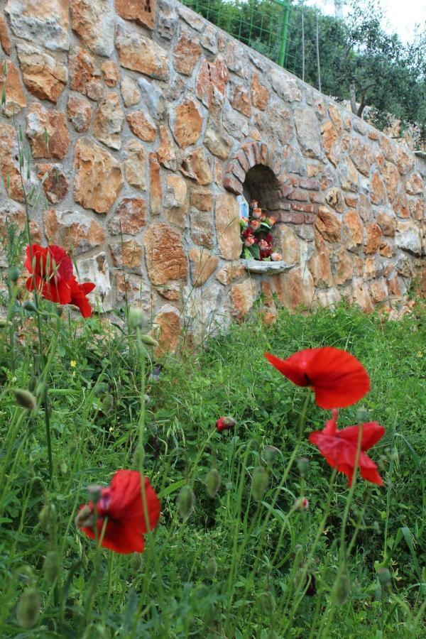 Mary'S Garden Villa Tulisevica Dış mekan fotoğraf