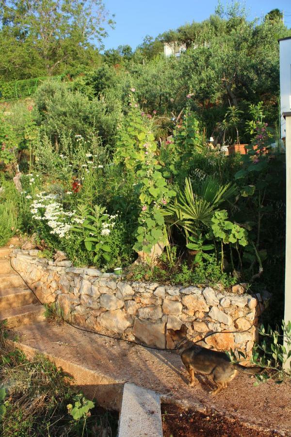 Mary'S Garden Villa Tulisevica Dış mekan fotoğraf